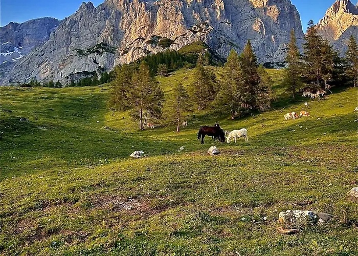 Tuerlwand Ramsau am Dachstein